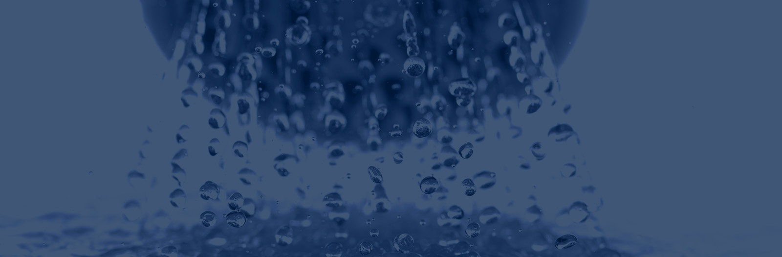 Gallery page header